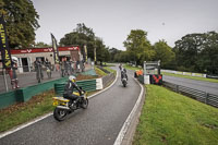 Lower Group Yellow Bikes